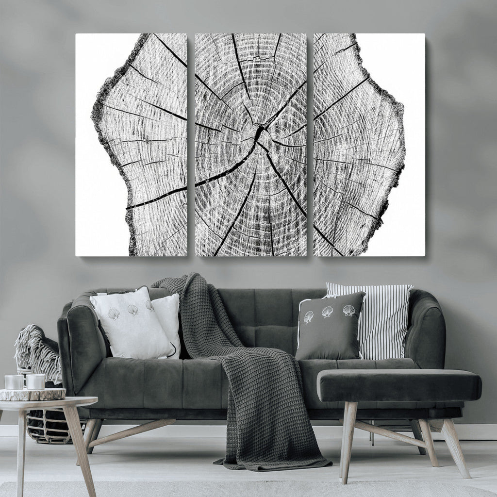 Rustic Tree Ring Wall Art Canvas Print, Framed and Ready to Hang