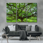 Ancient Tree Wall Art Canvas Print, Framed Sprawling Branches