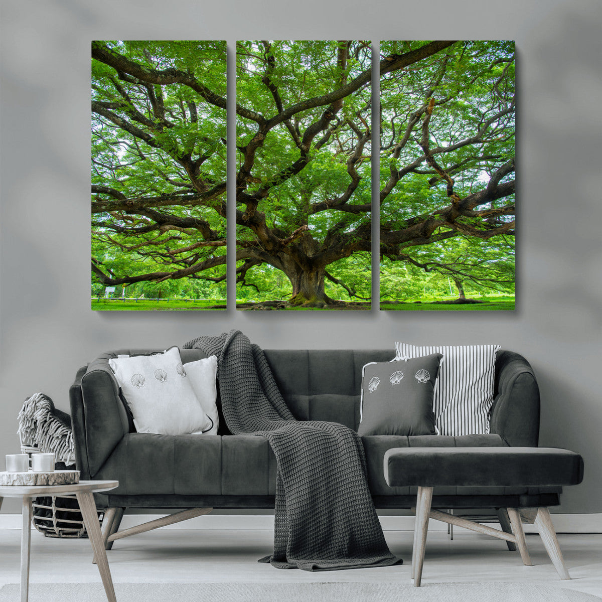 Ancient Tree Wall Art Canvas Print, Framed Sprawling Branches