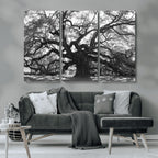 Ancient Oak Wall Art Canvas Print | Gnarled Tree with Twisted Branches