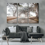 Cypress Tunnel Wall Art | Framed Misty Road Canvas Artwork