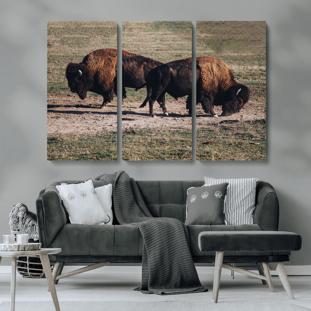 Bison Wall Art Canvas Print, Framed Western Wildlife Modern Ranch