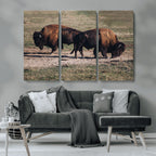 Bison Wall Art Canvas Print, Framed Western Wildlife Modern Ranch