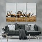 Elk Herd Wall Art Canvas Print, Framed Wildlife Photography Art, Majestic Antlers Rustic Wildlife Decor