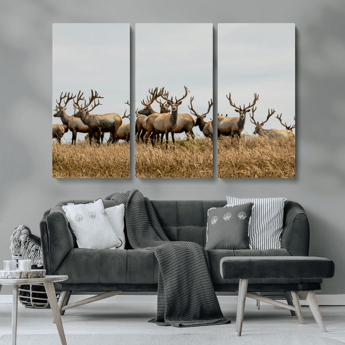 Elk Herd Wall Art Canvas Print, Framed Wildlife Photography Art, Majestic Antlers Rustic Wildlife Decor
