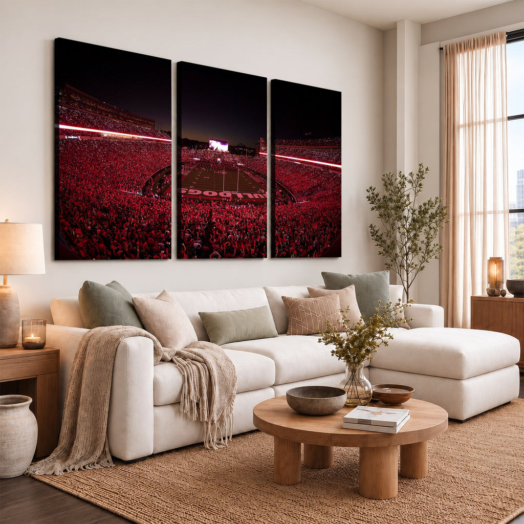 Dooley Stadium Wall Art, Sports Arena Canvas Print, Dooley Field Sanford Stadium