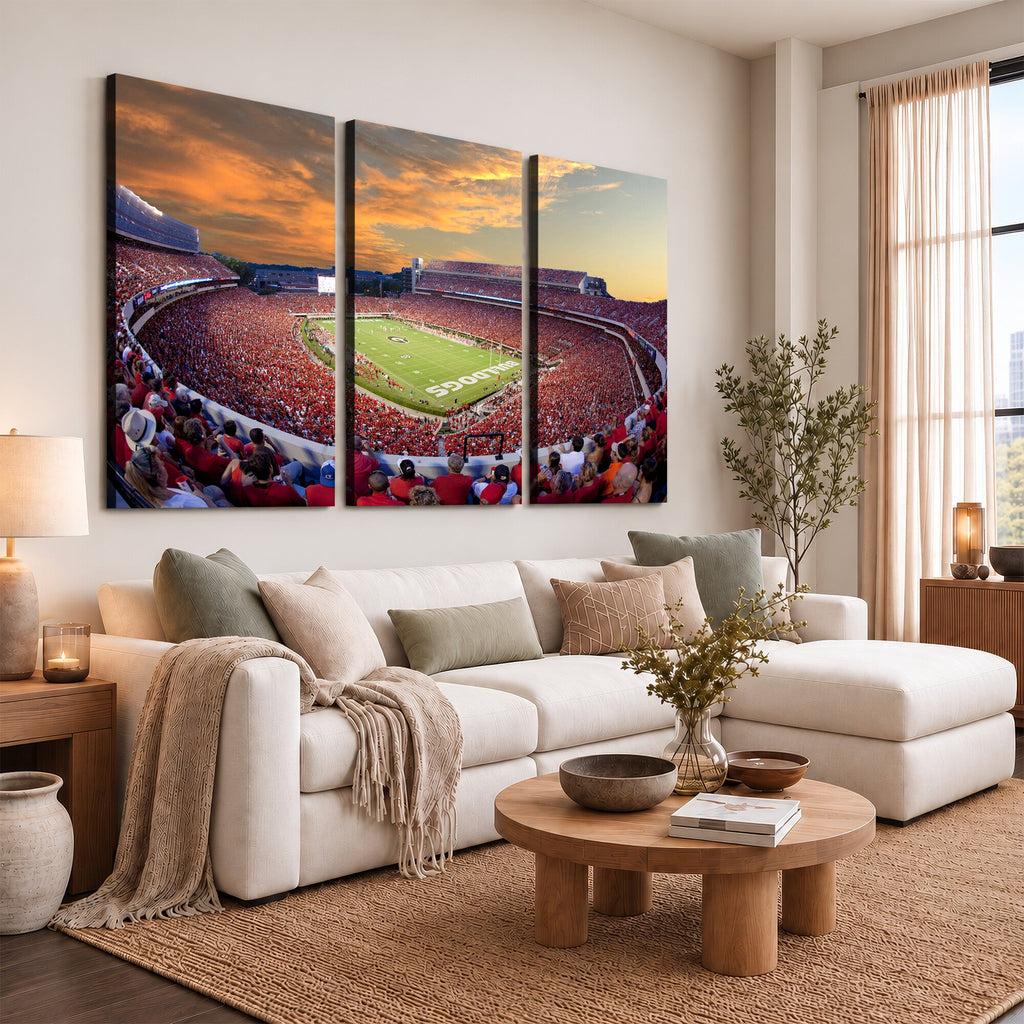 Dooley Stadium Wall Art, Sports Arena Canvas Print, Dooley Field, Framed and Ready to Hang