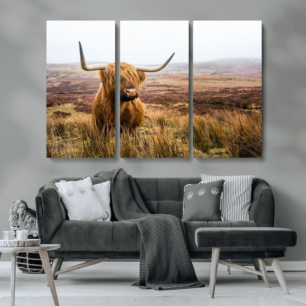 Scottish Highland Cow Canvas Wall Art, Rustic Farmhouse Decor