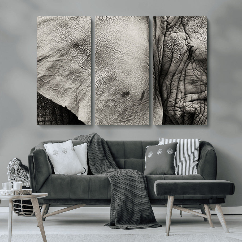 Elephant Wall Art Canvas Print