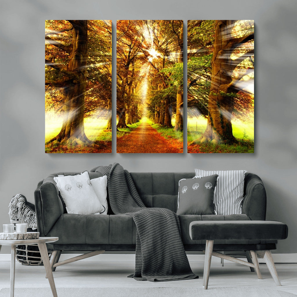 Sunshine in Forest and Trees Wall Art Canvas Print