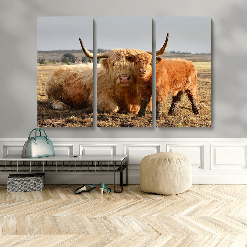 Highland Cow Canvas Wall Art Animal Print for Farm House Decor