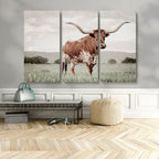 Texas Longhorn Wall Art | Framed Spotted Cattle Canvas
