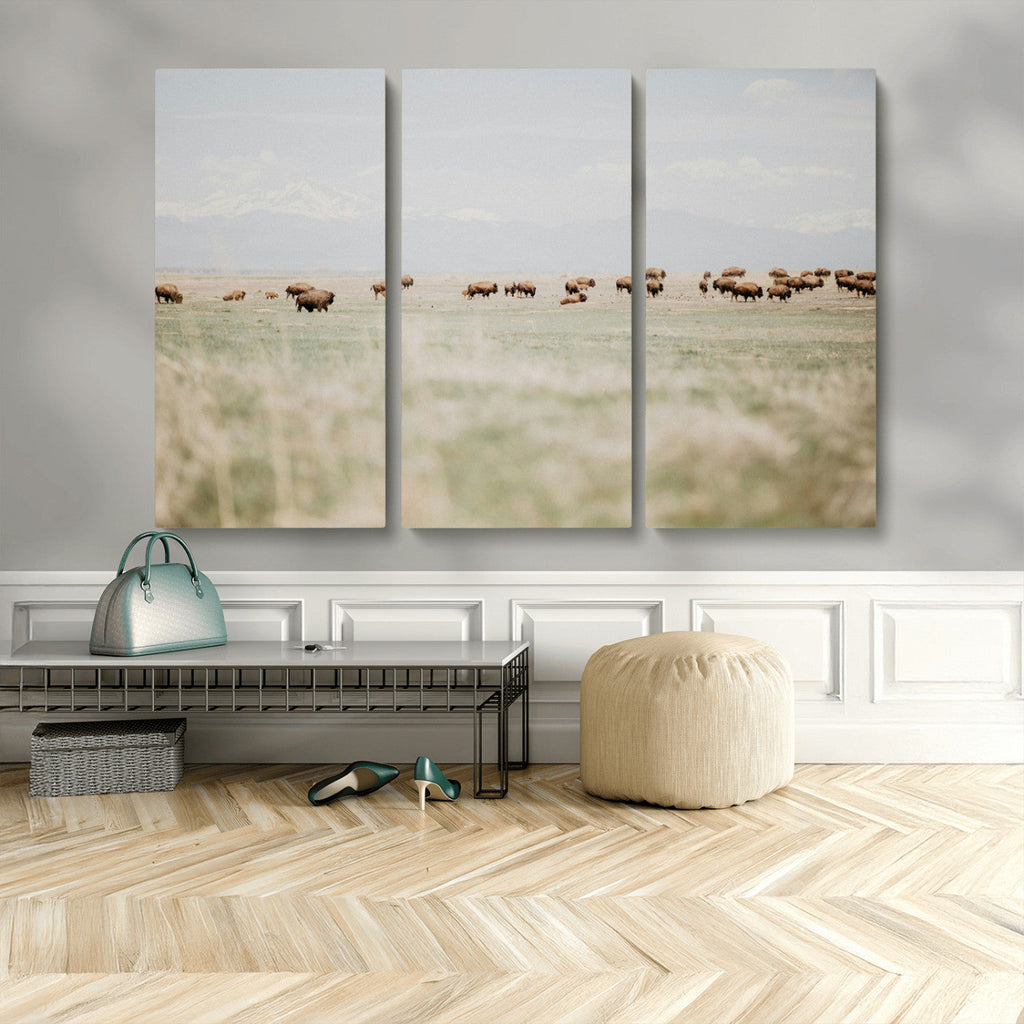Bison Herd Wall Art Canvas Print, Framed Western Ranch Nature Scene