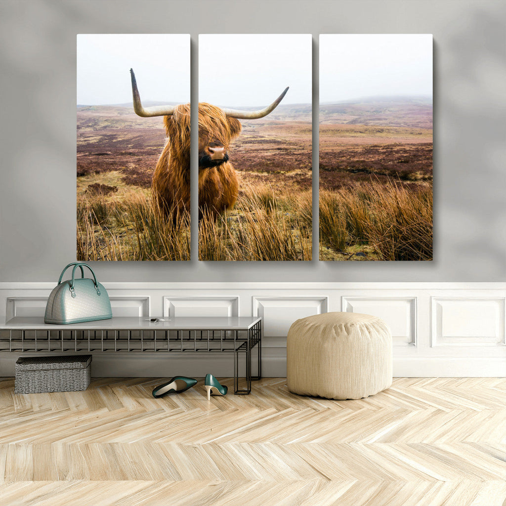 Scottish Highland Cow Canvas Wall Art, Rustic Farmhouse Decor