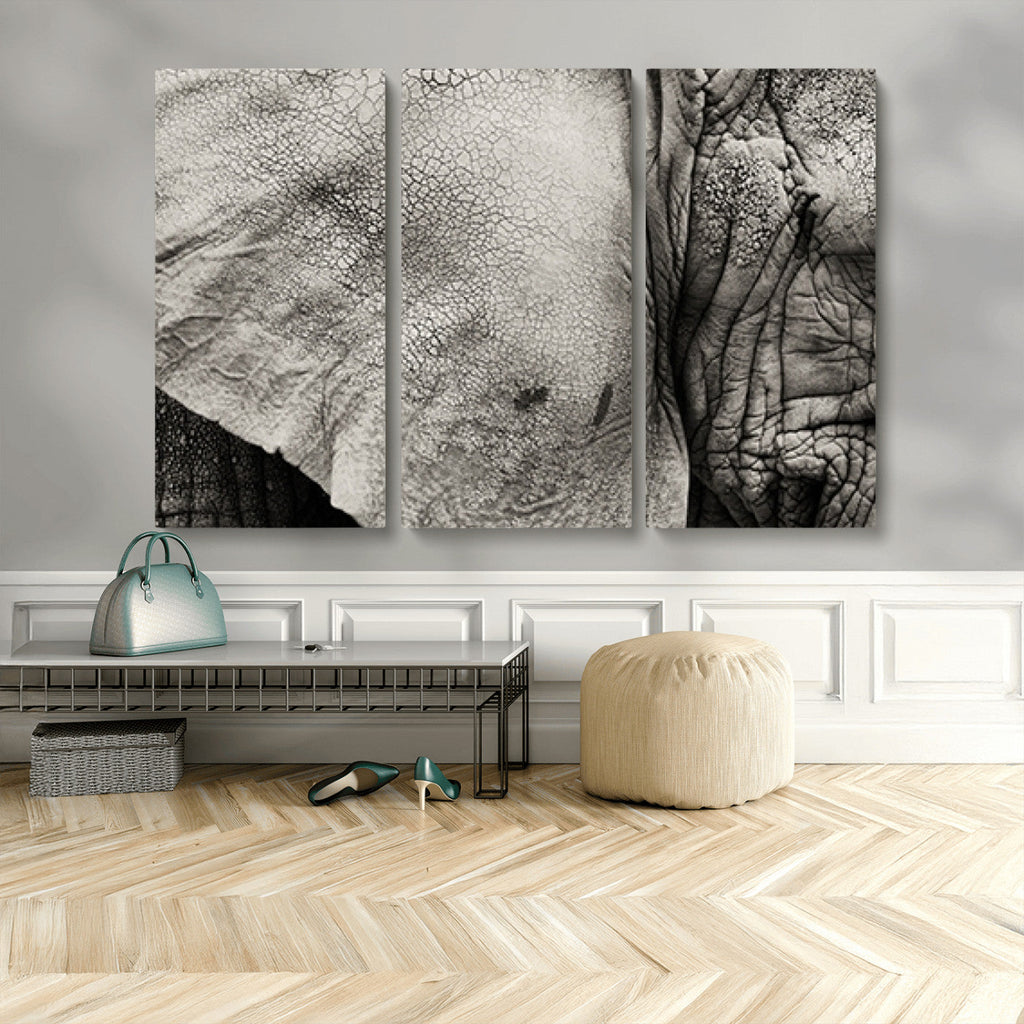 Elephant Wall Art Canvas Print