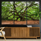 Majestic Oak Tree Wall Art Canvas Print | Ancient Branches