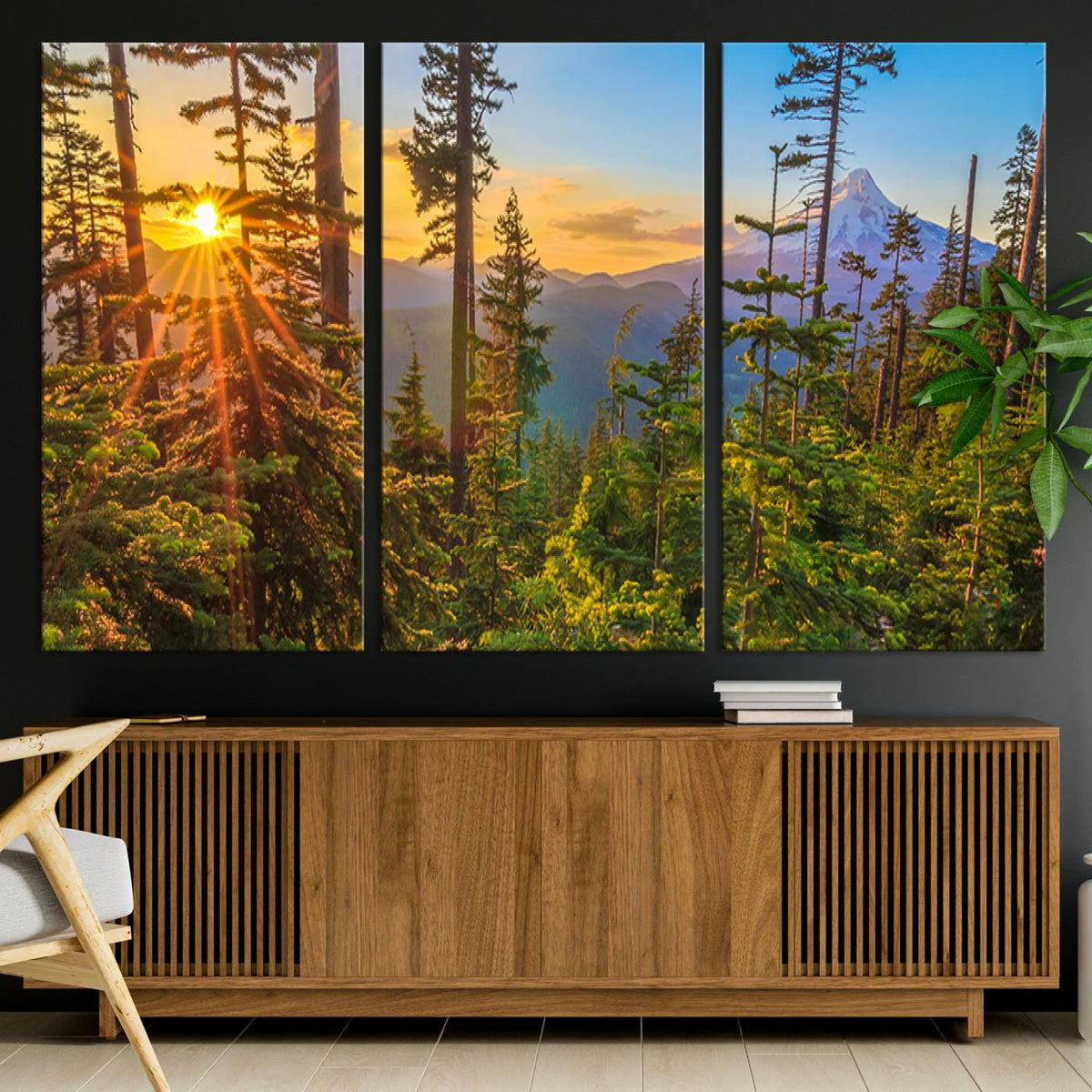 Forest Sunset Wall Art Canvas Print | Green Pines in Golden Light