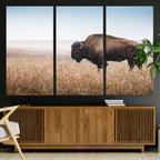 Wild Bison Wall Art | Framed Prairie Landscape Canvas