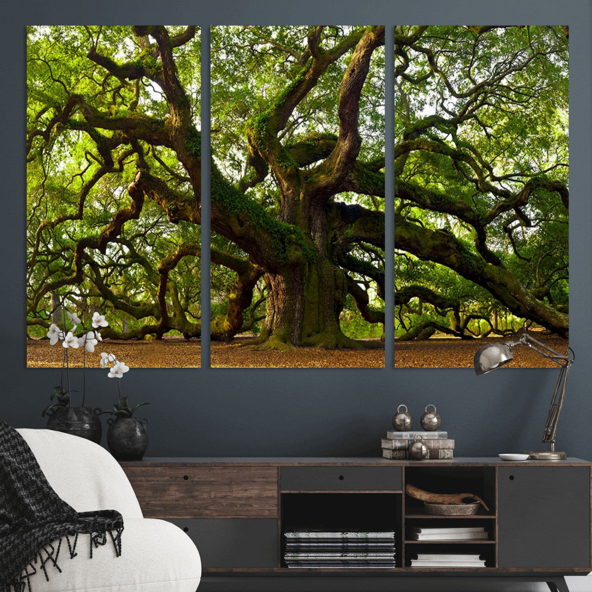 Angel Oak Tree Wall Art Canvas Print | Forest Tree Nature Photography Print
