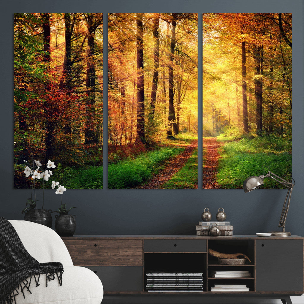 Sunlight Through Trees Wall Art Canvas Print | Autumn Forest Wall Art