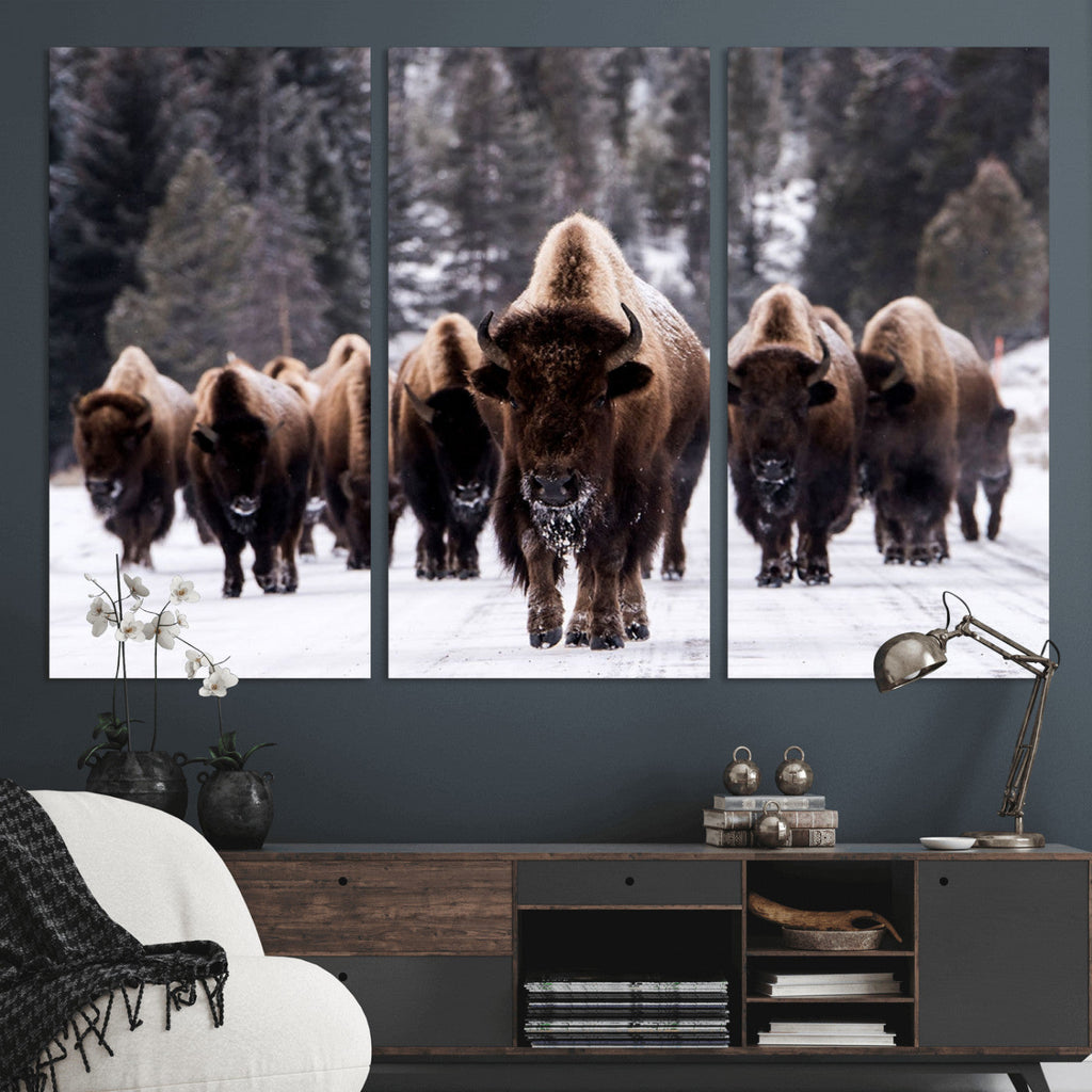 Bison Wall Art Canvas Print, Bison Herd Canvas Wall Art