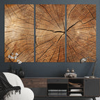 Tree Ring Canvas Art, Rustic Wood Grain Wall Art, Tree Slice Decor for Modern Homes