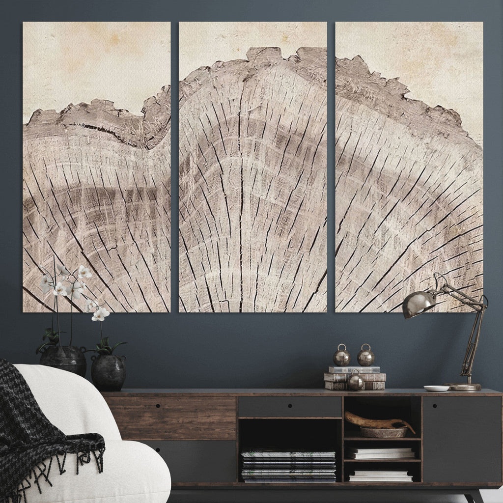 Tree Ring Wall Art Triptych, Rustic Wood Ring Canvas Print