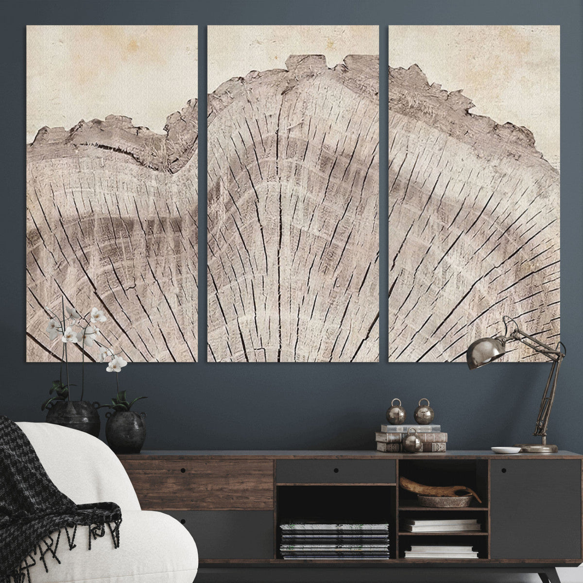 Tree Ring Wall Art Triptych, Rustic Wood Ring Canvas Print