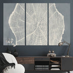 Abstract Tree Ring Wall Art Canvas Print, Framed and Ready to Hang