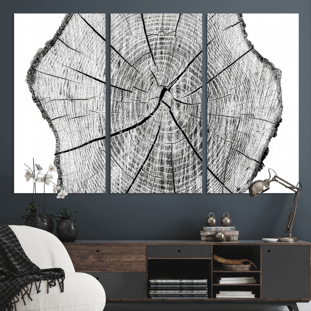 Rustic Tree Ring Wall Art Canvas Print, Framed and Ready to Hang