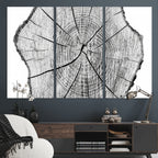 Rustic Tree Ring Wall Art Canvas Print, Framed and Ready to Hang