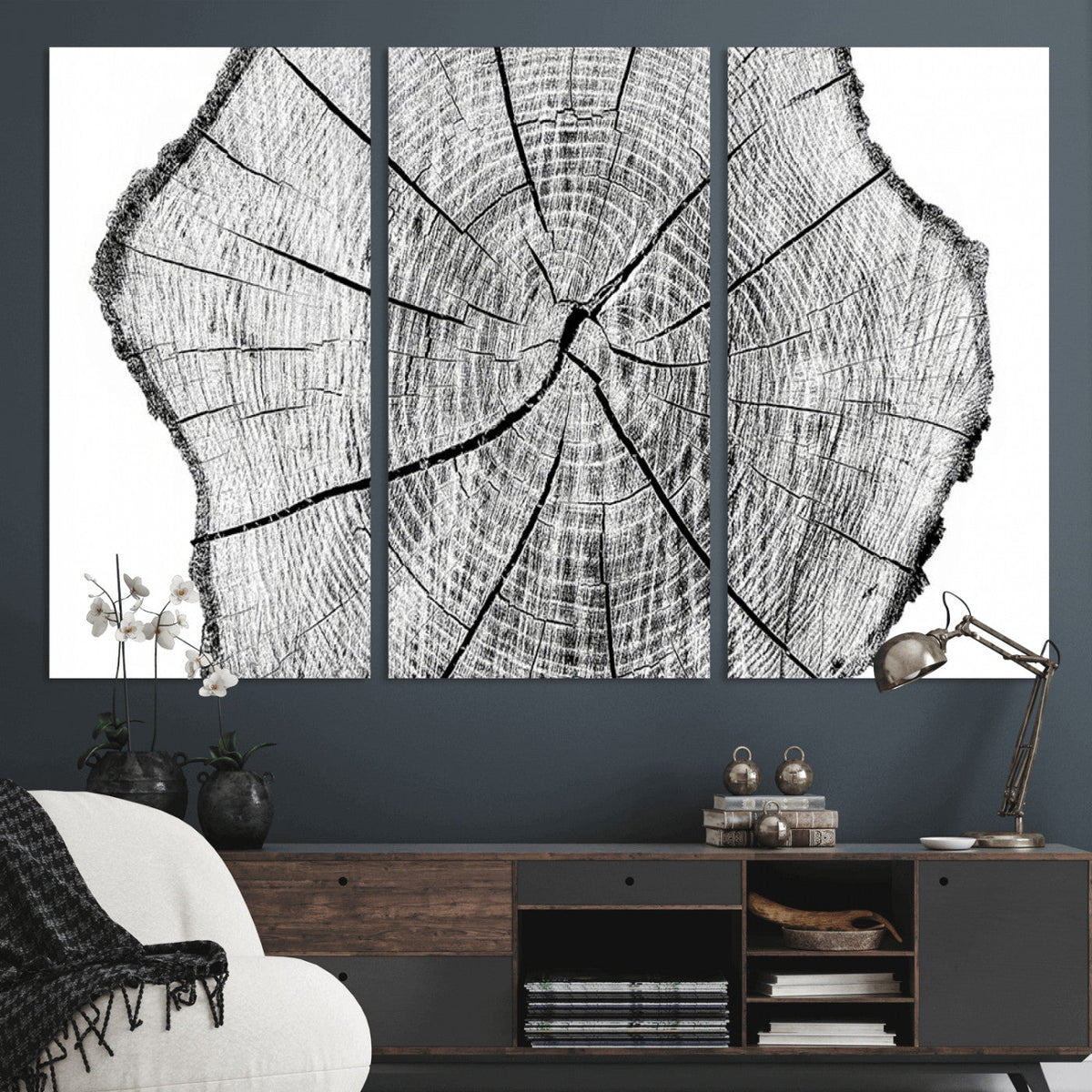 Rustic Tree Ring Wall Art Canvas Print, Framed and Ready to Hang