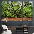 Majestic Oak Tree Wall Art Canvas Print | Ancient Branches