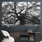 Ancient Oak Wall Art Canvas Print | Gnarled Tree with Twisted Branches