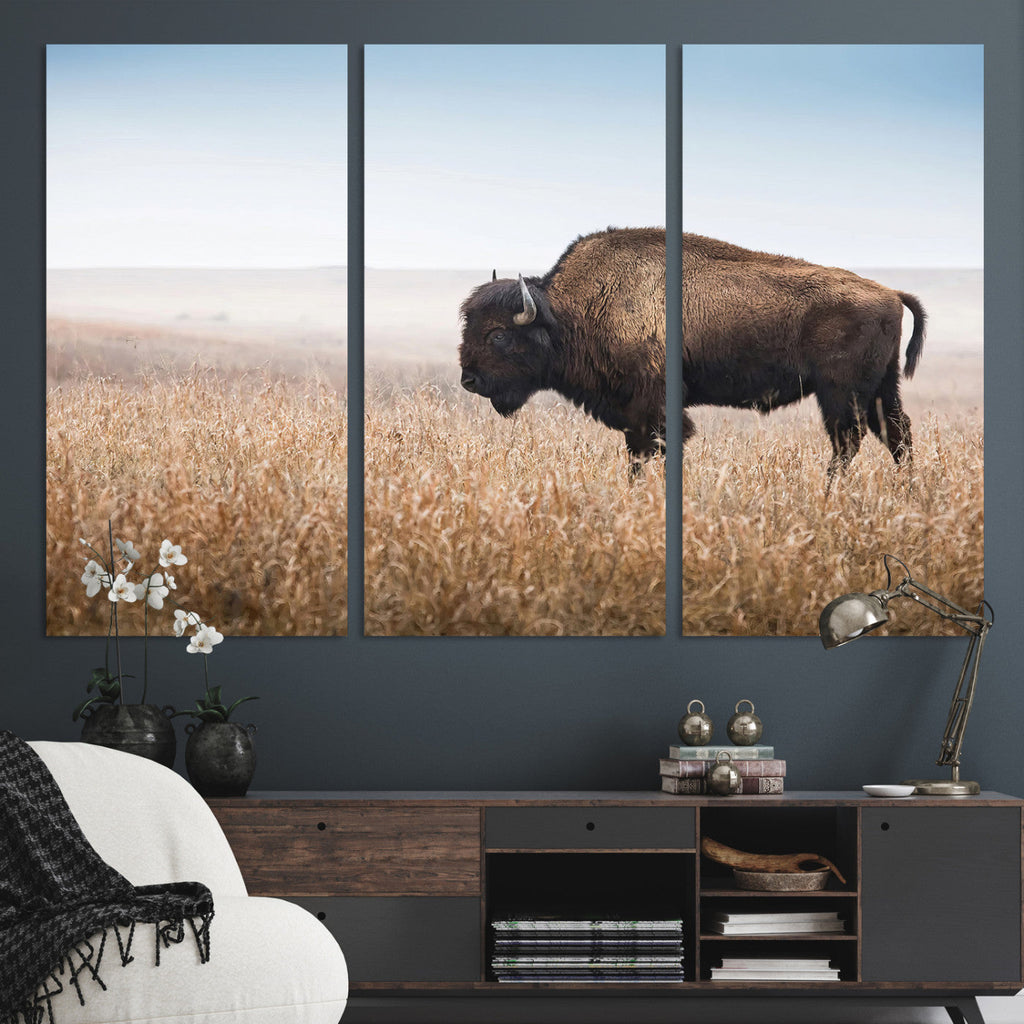 Wild Bison Wall Art | Framed Prairie Landscape Canvas