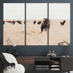 Bison Herd Wall Art Canvas Print, Framed Western Prairie Serenity