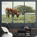 Texas Longhorn Wall Art Canvas Print, Rustic Western Ranch