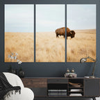 Buffalo Wall Art Canvas Print, Framed Western Wildlife Rustic Prairie Scene