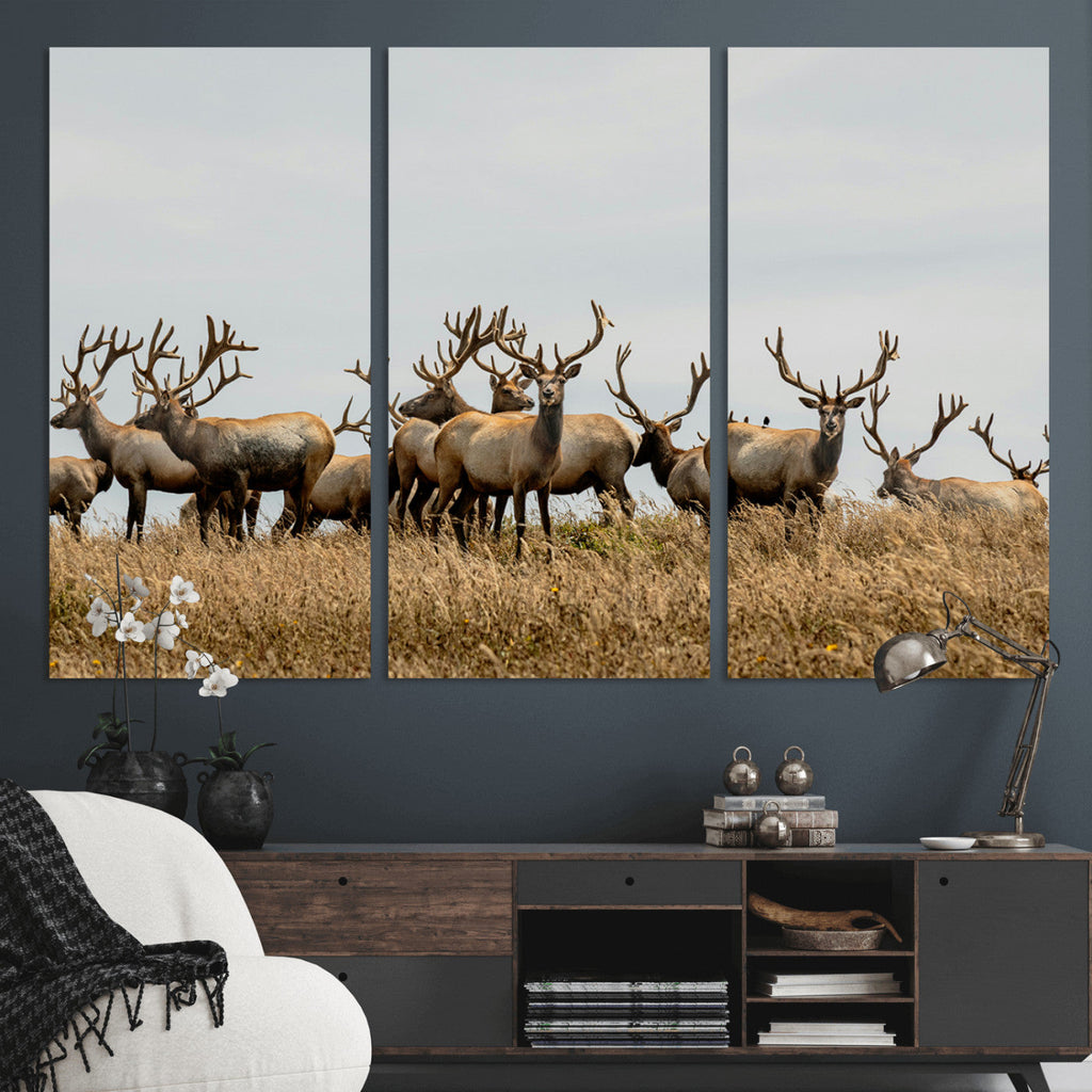Elk Herd Wall Art Canvas Print, Framed Wildlife Photography Art, Majestic Antlers Rustic Wildlife Decor