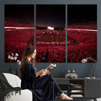 Dooley Stadium Wall Art, Sports Arena Canvas Print, Dooley Field Sanford Stadium