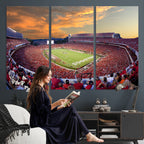 Dooley Stadium Wall Art, Sports Arena Canvas Print, Dooley Field, Framed and Ready to Hang