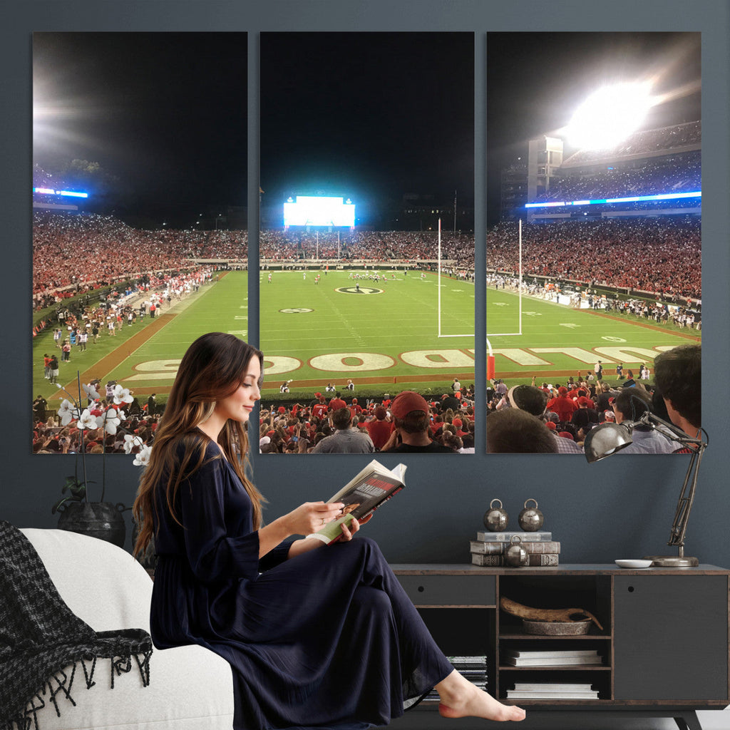 Dooley Stadium Wall Art, Sports Arena Panoramic Canvas