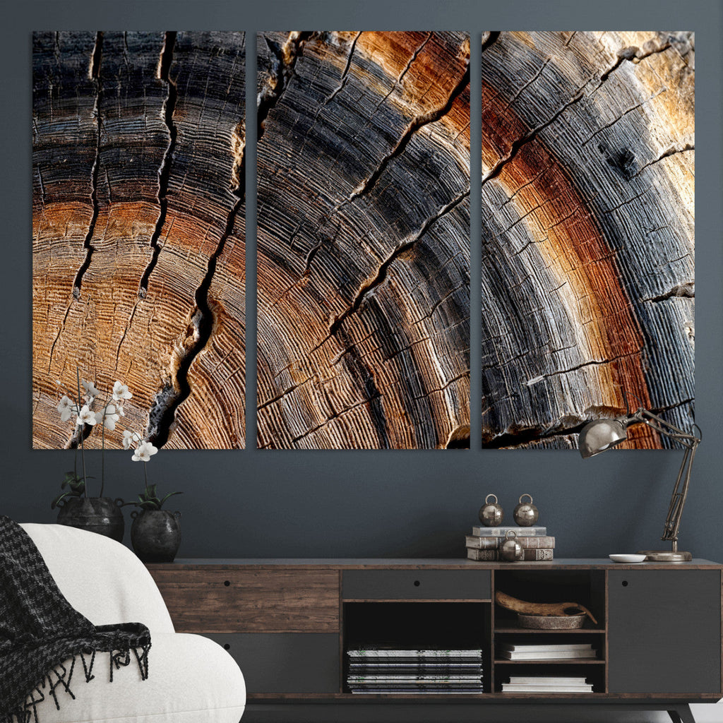 Abstract Tree Ring Wall Art Print, Natural Rustic Wood Grain Canvas