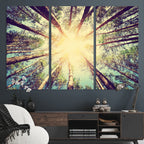Tree and Sunshine Canvas Print