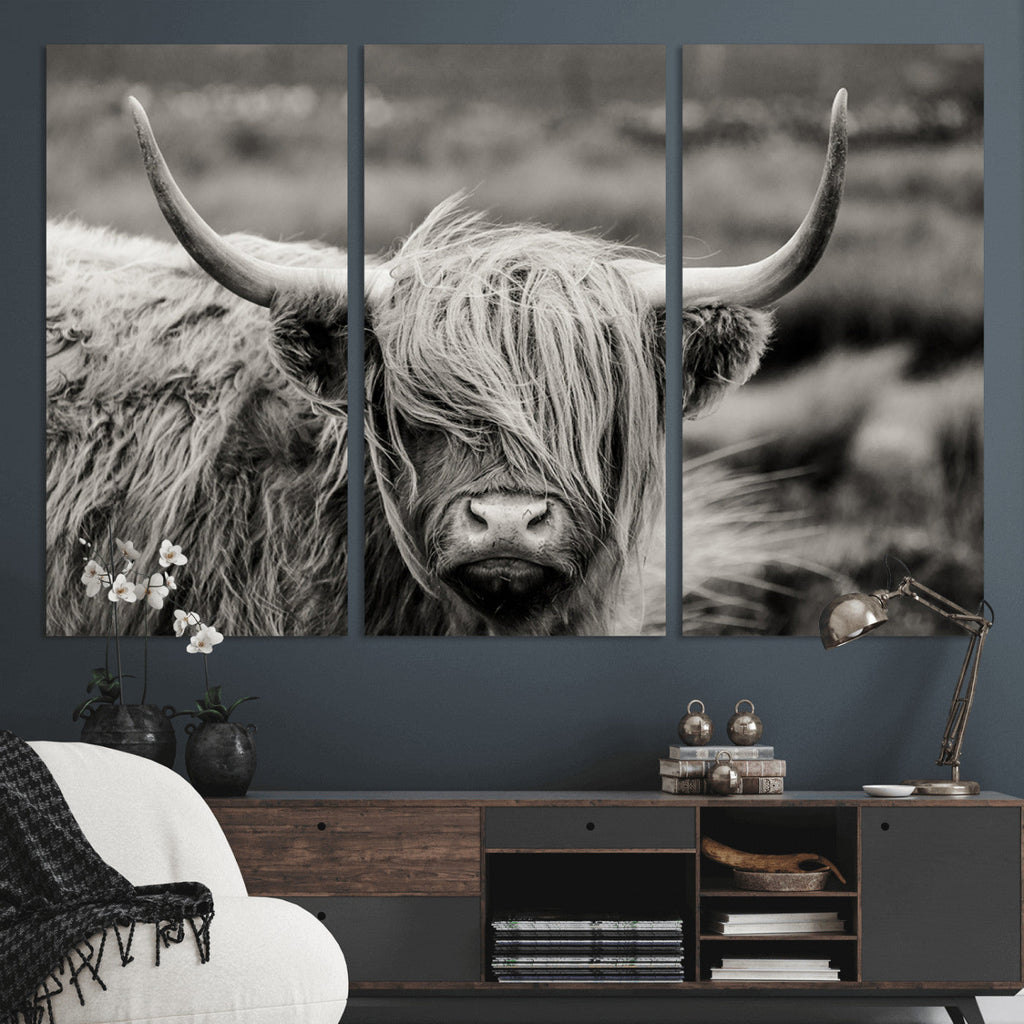 Cow Focus Canvas Wall Art Print