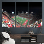 Houston Cougars Football Team Print, Houston TDECU Stadium