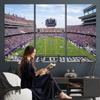 TCU Horned Frogs Football Team Print, Fort Worth Amon G. Carter Stadium, Framed and Ready to Hang