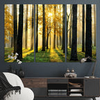 Sunlit Forest Wall Art Canvas Print, Large Framed Woodland Scene with Golden Light
