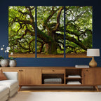 Angel Oak Tree Wall Art Canvas Print | Forest Tree Nature Photography Print