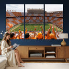 Tennessee Neyland Stadium Wall Art, Sports Arena Canvas, Home Bar Wall Decor